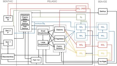 On the Role of Biogeochemical Coupling Between Sympagic and Pelagic Ecosystem Compartments for Primary and Secondary Production in the Barents Sea